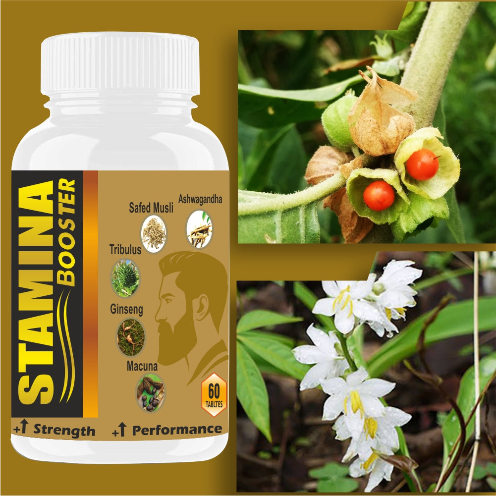 Goa Nutritions Stamina Booster For Men 60 Tablets