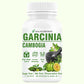 GOA NUTRITIONS Garcinia Cambogia for Weight Loss 60  Tablets