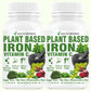 Goa Nutritions Plant Based Iron Supplement 120 Tablets
