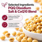 HAYER PQQ Complex 20mg with Kaneka Ubiquinol CoQ10 100mg, Alpha Lipoic Acid & Vitamin E | Mitochondrial Energy Support | Sugar Free, Preservative Free Tablets