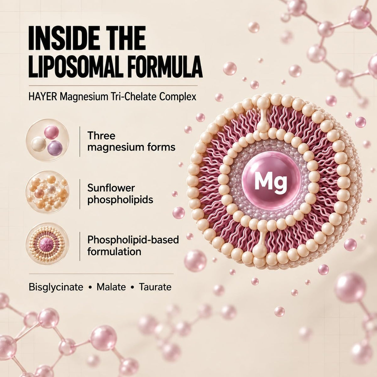 HAYER Liposomal Magnesium Glycinate Tri-Chelate (Bisglycinate, Malate & Taurate) 60 Veg Tablets