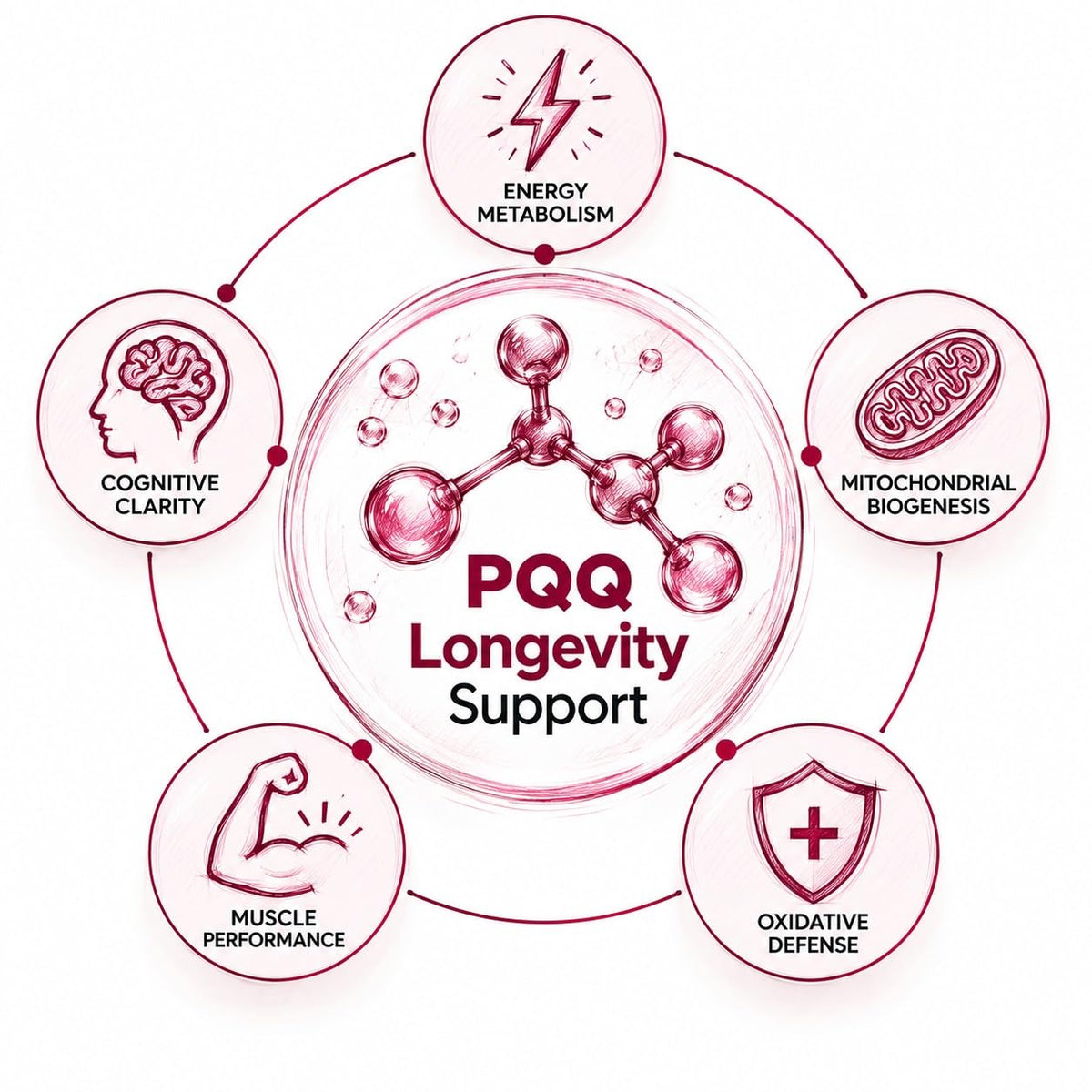 HAYER PQQ Complex 20mg with Kaneka Ubiquinol CoQ10 100mg, Alpha Lipoic Acid & Vitamin E | Mitochondrial Energy Support | Sugar Free, Preservative Free Tablets