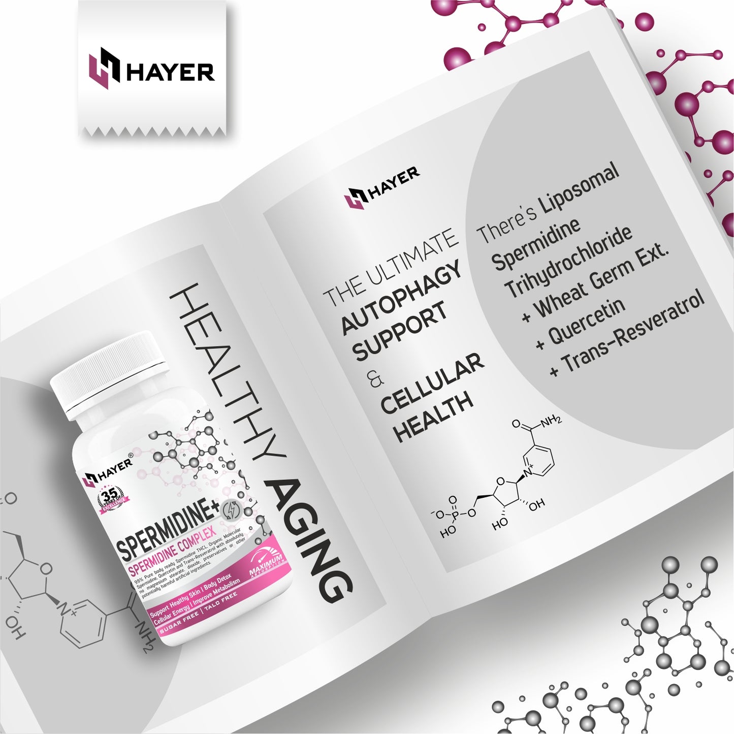 HAYER Liposomal Spermidine Supplement,98%+ Highly Purified and Bioavailable, 30 Tablets