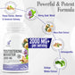 GNL Testosterone Booster for men Supplement 60 Tablets