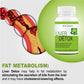 GOA NUTRITIONS Liver Detox Supplement. Milk Thistle Tablets - 60 Tablets