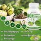 GOA NUTRITIONS Noni Juice Tablets Fat and Energy Metabolism Booster, Antioxidant 120 Tablets