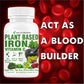 Goa Nutritions Plant Based Iron Supplement 120 Tablets